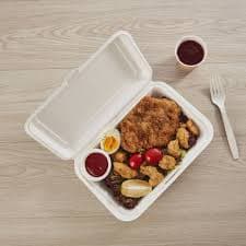 Bagasse 9*6 Clamshell Boxes — photo 2