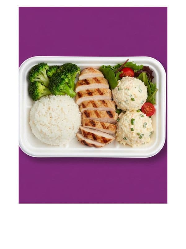 Bagasse 2 D Tray