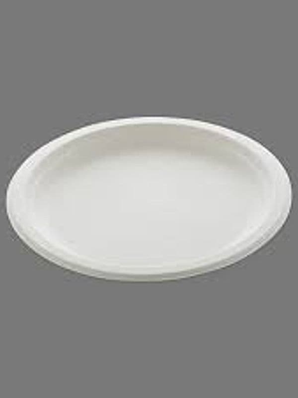 Bagasse Round Plate — 7 Inch — photo 3