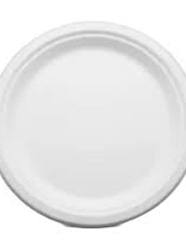 Bagasse Round Plate — 9 Inch — photo 2