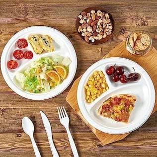 Bagasse tableware and takeaway containers