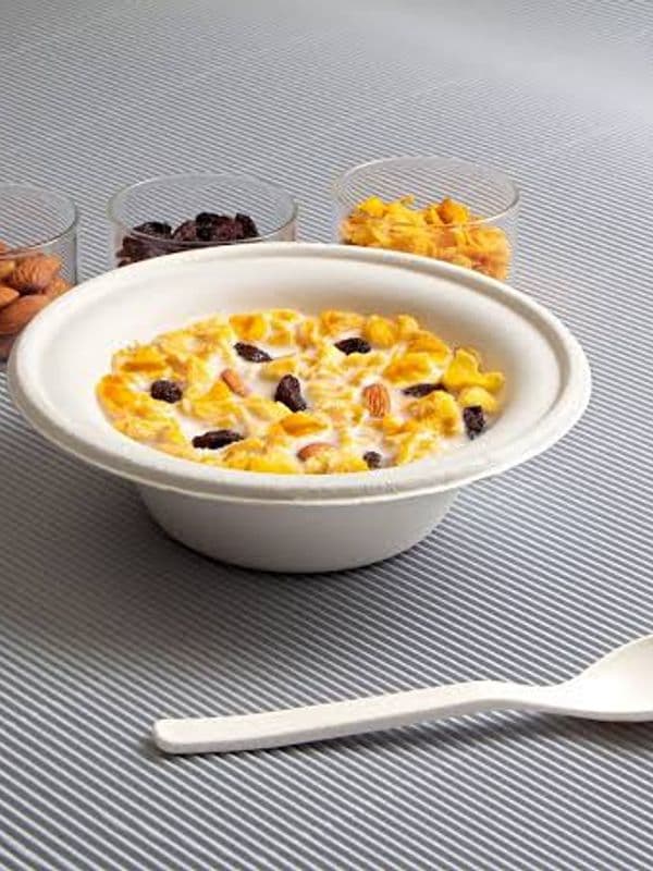 Bagasse Bowl — 360ml — photo 1