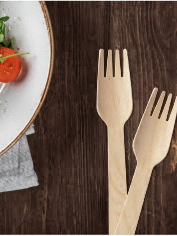 Wooden Fork placed with served food plate